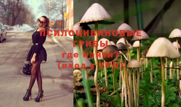 ПСИЛОЦИБИНОВЫЕ ГРИБЫ Алзамай