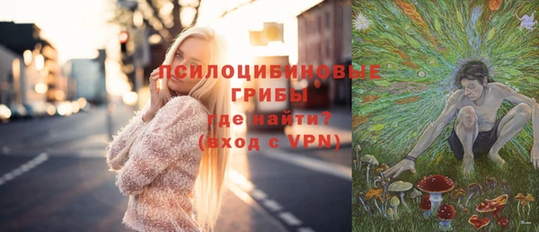 метадон Алексин