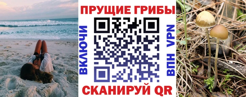 Псилоцибиновые грибы мицелий  площадка официальный сайт  Темников  цены наркотик 