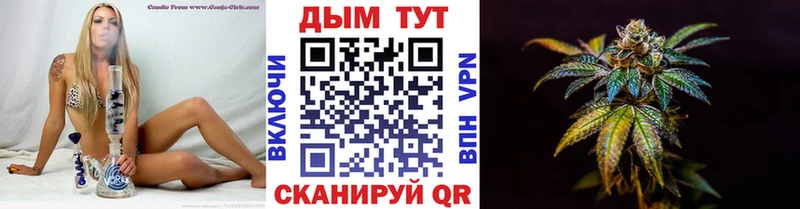 Конопля OG Kush  mega маркетплейс  Темников 